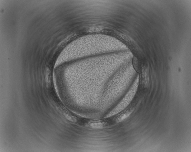 X0000067400228200604211707