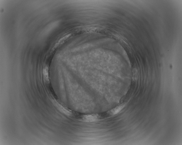 X0000067400238200604211707