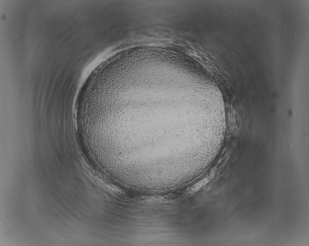 X0000067400246200604211706