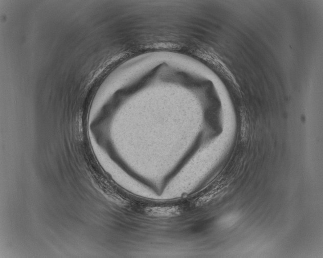 X0000067400251200604211706