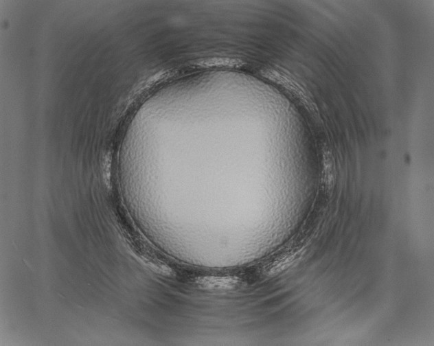 X0000067400255200604211706