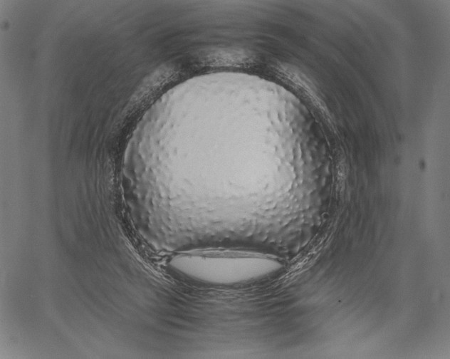 X0000067400257200604211706