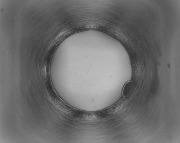 X0000067400262200604211706
