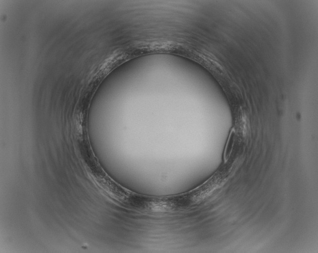 X0000067400264200604211706