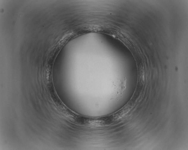 X0000067400268200604211706