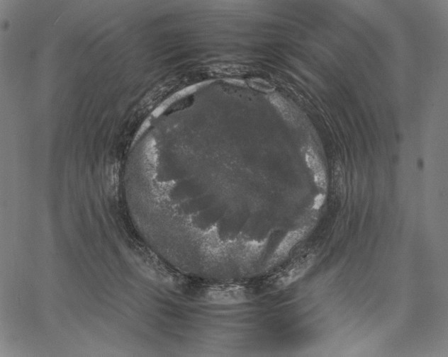 X0000067400271200604211706