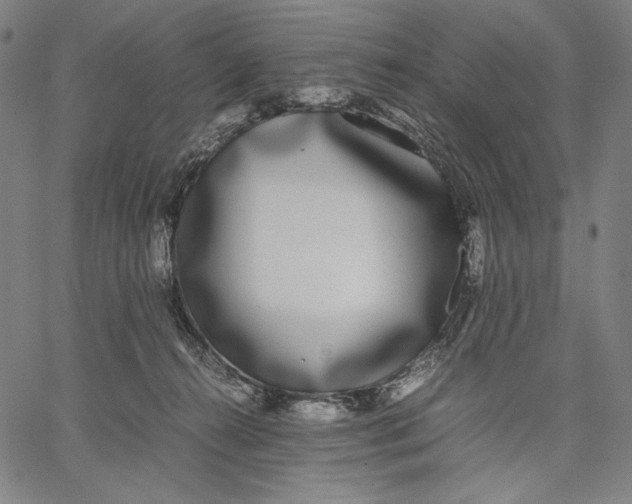 X0000067400272200604211706