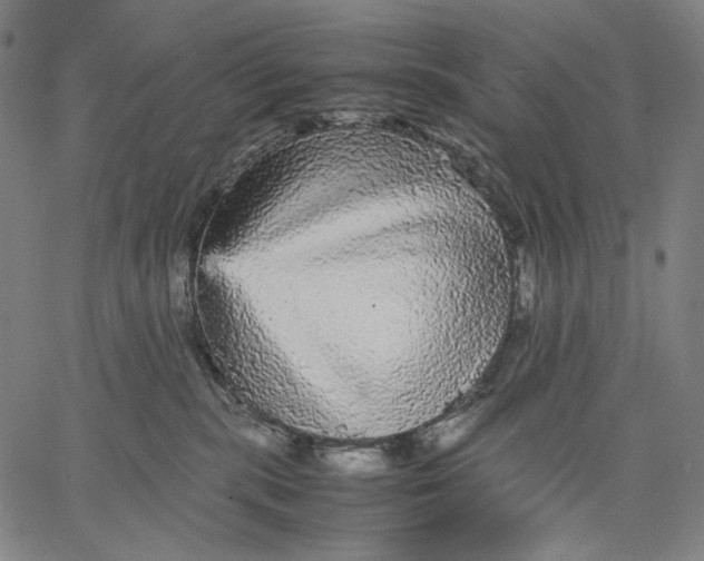 X0000067400283200604211707