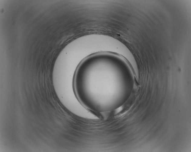 X0000067400287200604211707