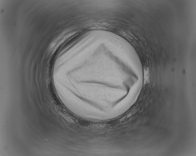 X0000067400291200604211706