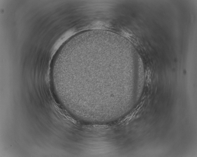 X0000067400292200604211706