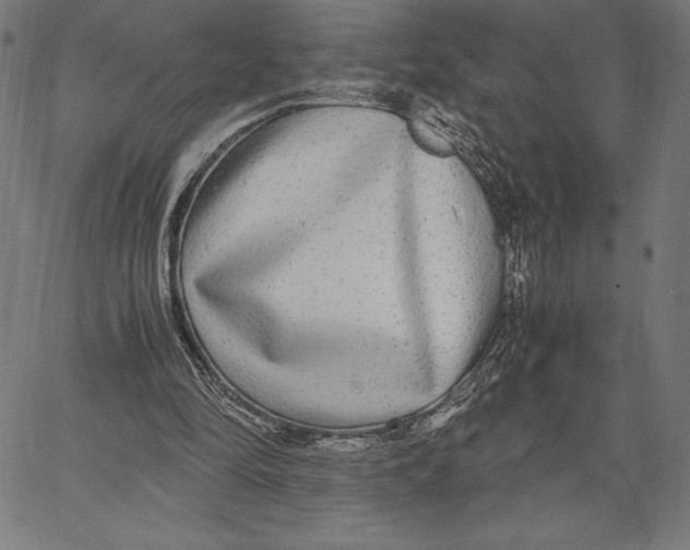 X0000067400294200604211706