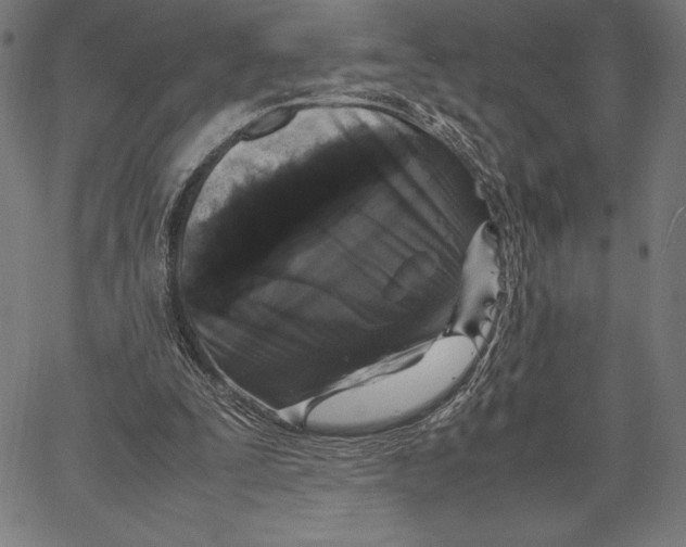 X0000067400295200604211706