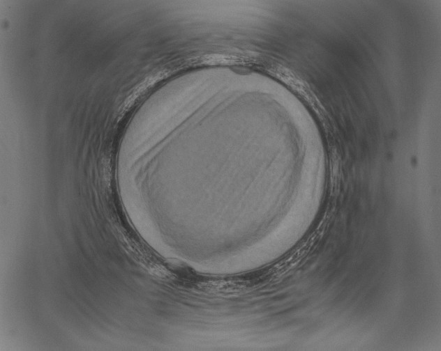 X0000067400297200604211706