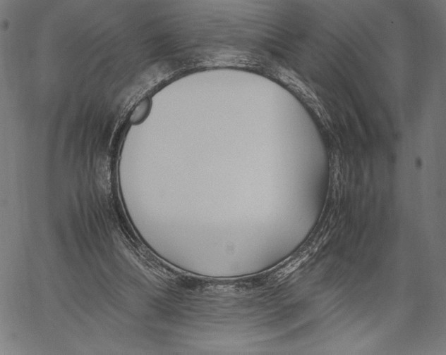 X0000067400298200604211706