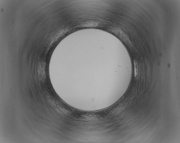 X0000067400300200604211706
