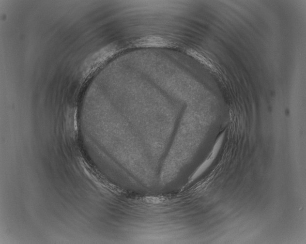 X0000067400302200604211706