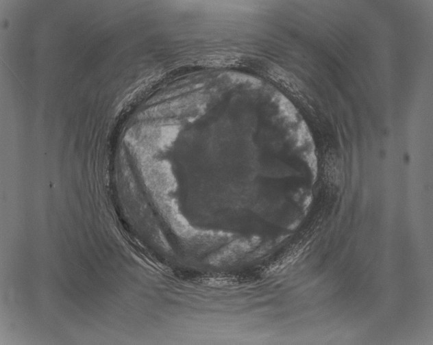 X0000067400303200604211706