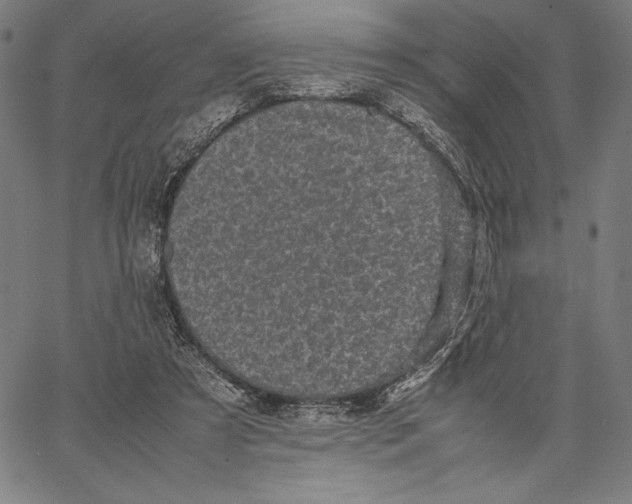 X0000067400305200604211706