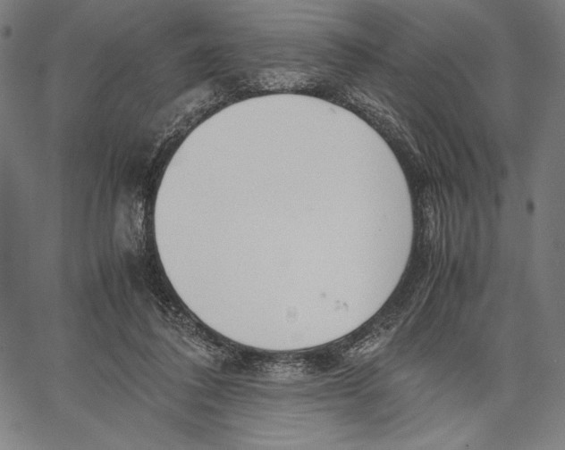 X0000067400308200604211706