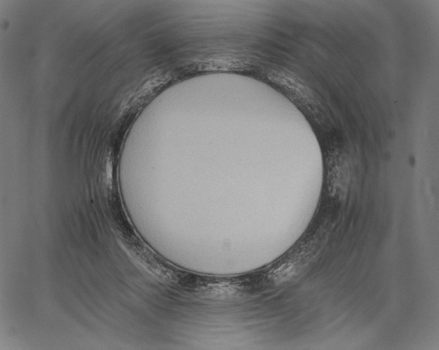 X0000067400310200604211705