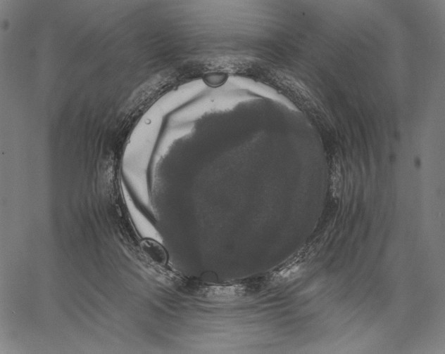 X0000067400314200604211705