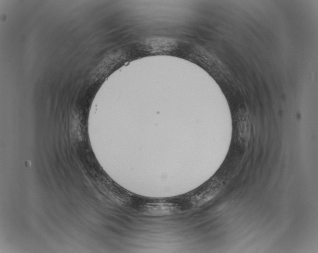 X0000067400316200604211705