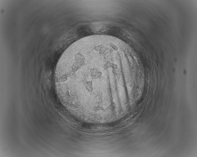 X0000067400319200604211705