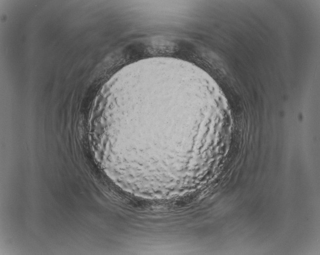 X0000067400323200604211705