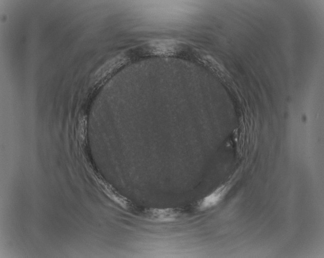 X0000067400325200604211705