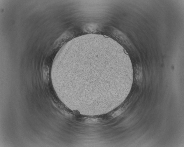X0000067400332200604211705