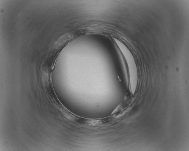 X0000067400333200604211705