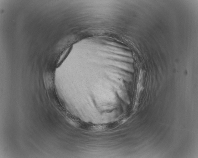 X0000067400335200604211705