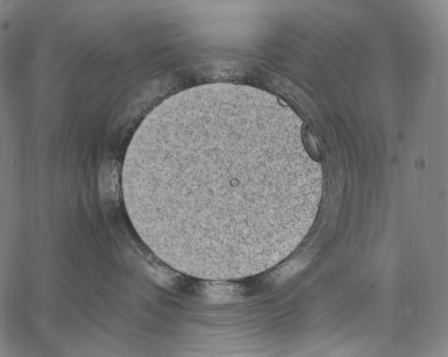 X0000067400336200604211705