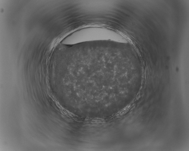 X0000067400337200604211704