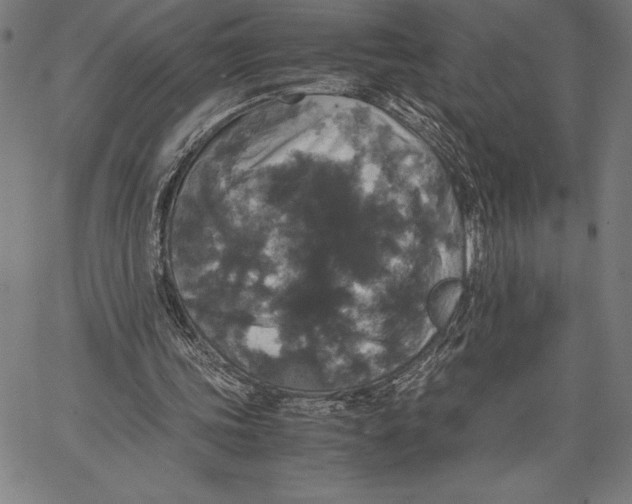 X0000067400339200604211704