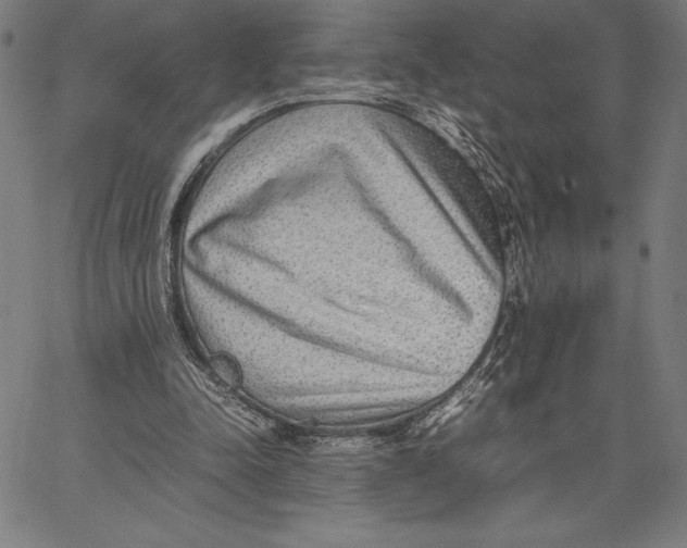 X0000067400342200604211704