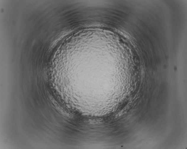 X0000067400345200604211704