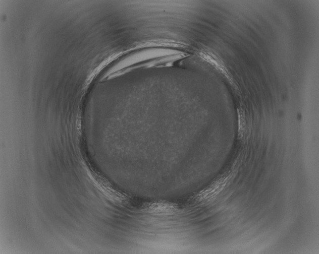 X0000067400348200604211704