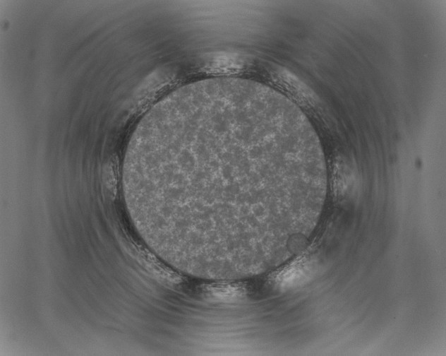 X0000067400370200604211705