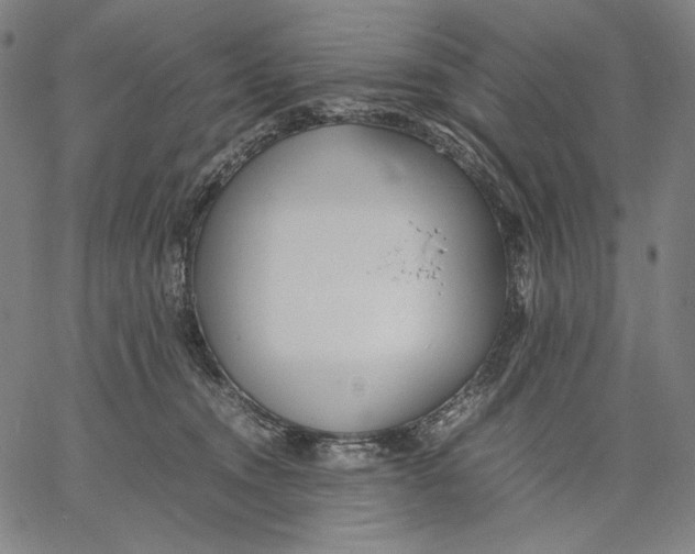 X0000067400372200604211705