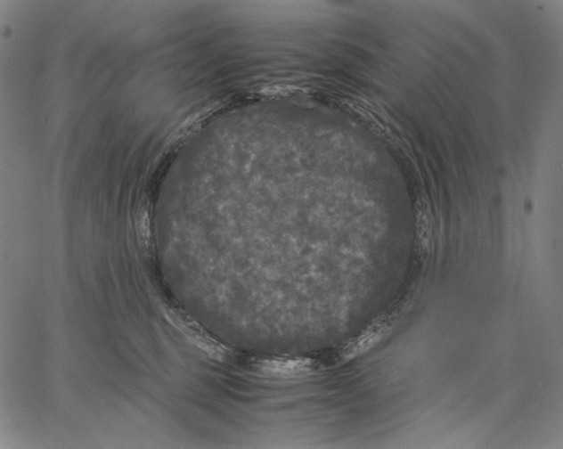 X0000067400375200604211705