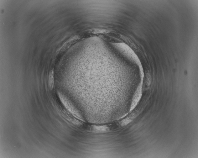 X0000067400376200604211705
