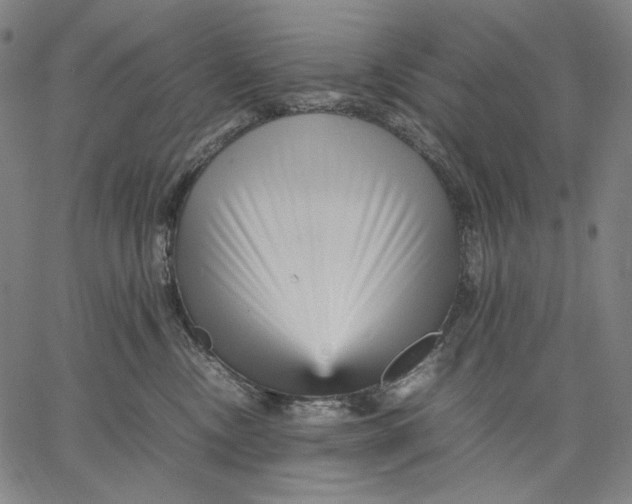 X0000067400378200604211705