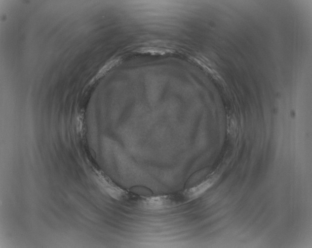 X0000067400382200604211705