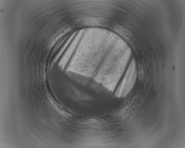 X0000067400390200604211704