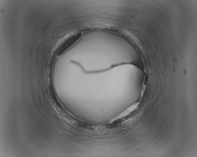 X0000067400395200604211704