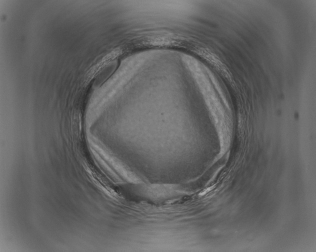 X0000067400397200604211704