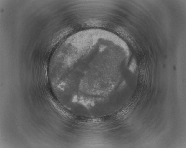 X0000067400398200604211704