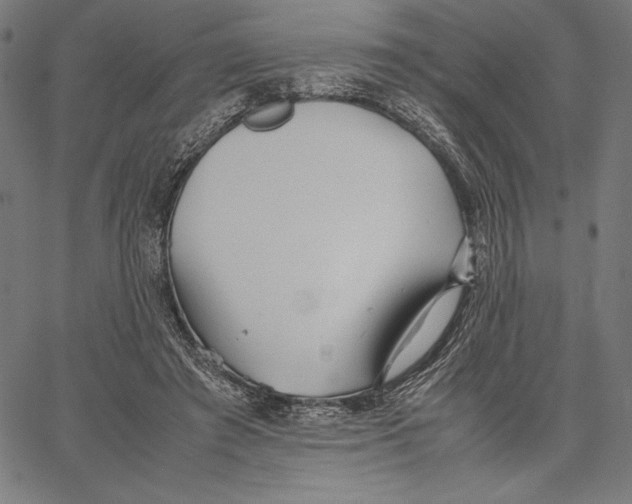 X0000067400401200604211704